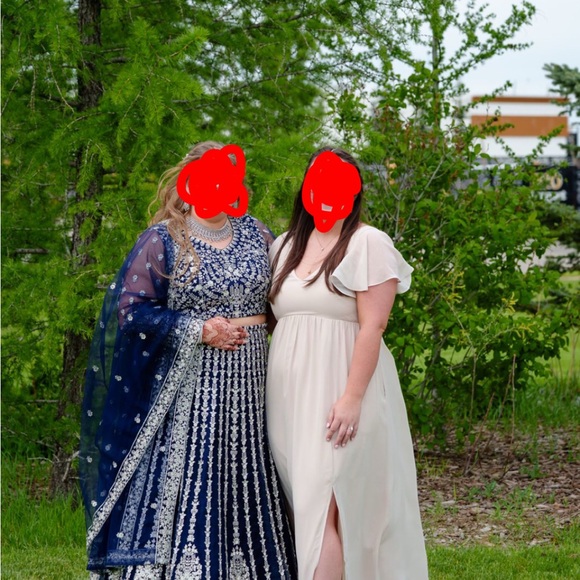 Birdy Grey neutral chanpagne Chiffon dress - Picture 3 of 3